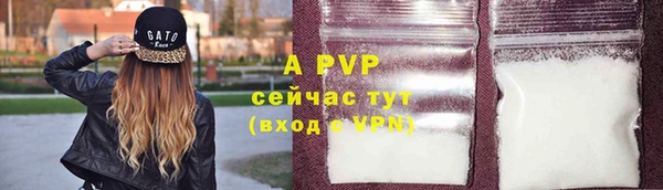 ECSTASY Сатка