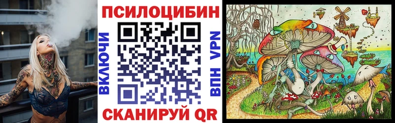 Псилоцибиновые грибы мицелий  Теберда 